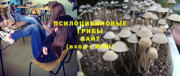 PSILOCYBIN Алексеевка