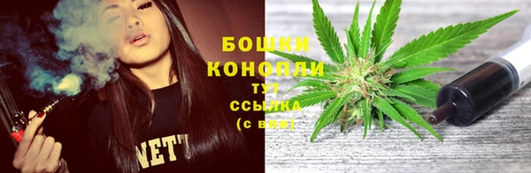 PSILOCYBIN Алексеевка