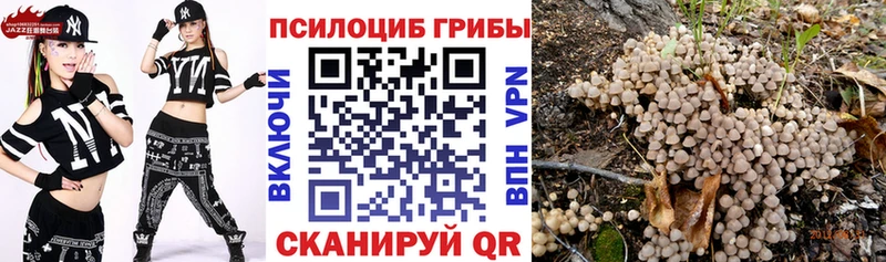 даркнет сайт  Асино  Псилоцибиновые грибы GOLDEN TEACHER 