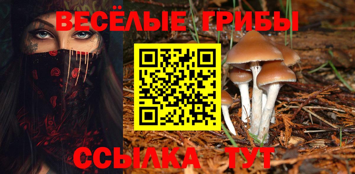 Псилоцибиновые грибы прущие грибы Асино