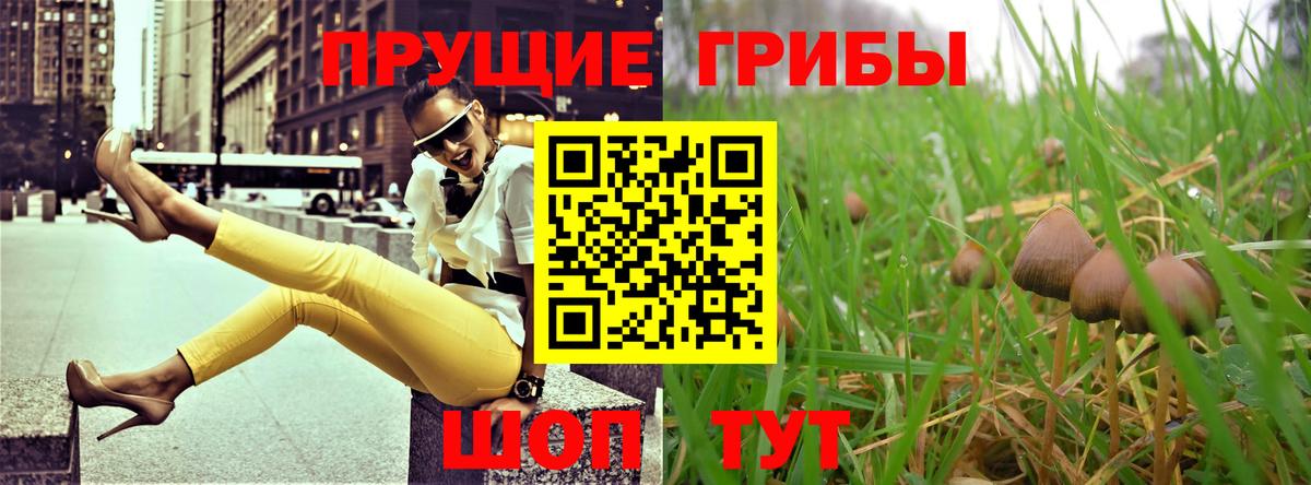 Асино  Галлюциногенные грибы Psilocybe  купить закладку  Вход с VPN 