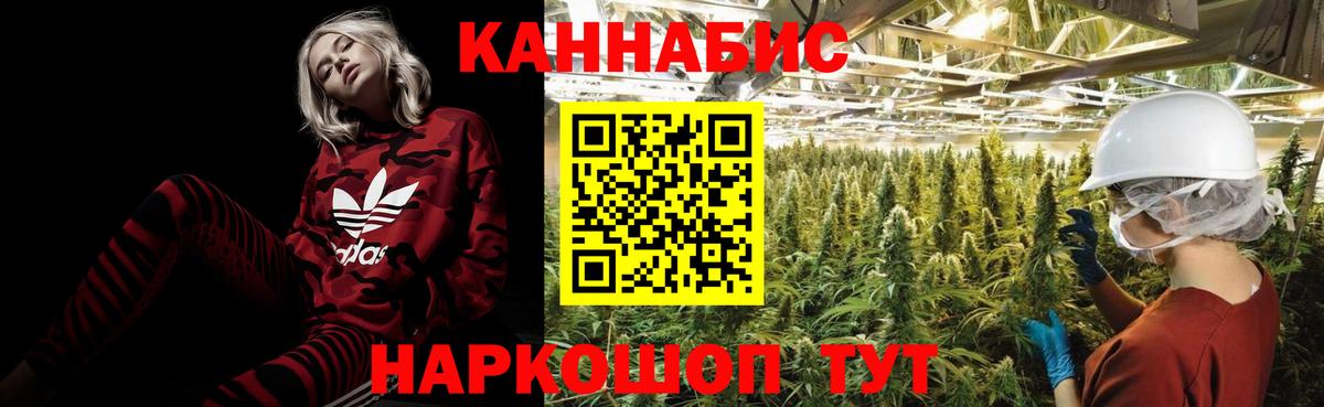 Бошки марихуана конопля Асино